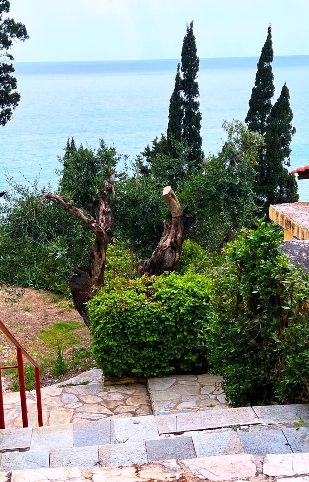 Stefanos Apartments By Sv Alians Agios Gordios  Buitenkant foto